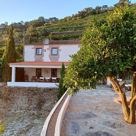 Country House Quinta Da Salgueira 알리조 외부 사진