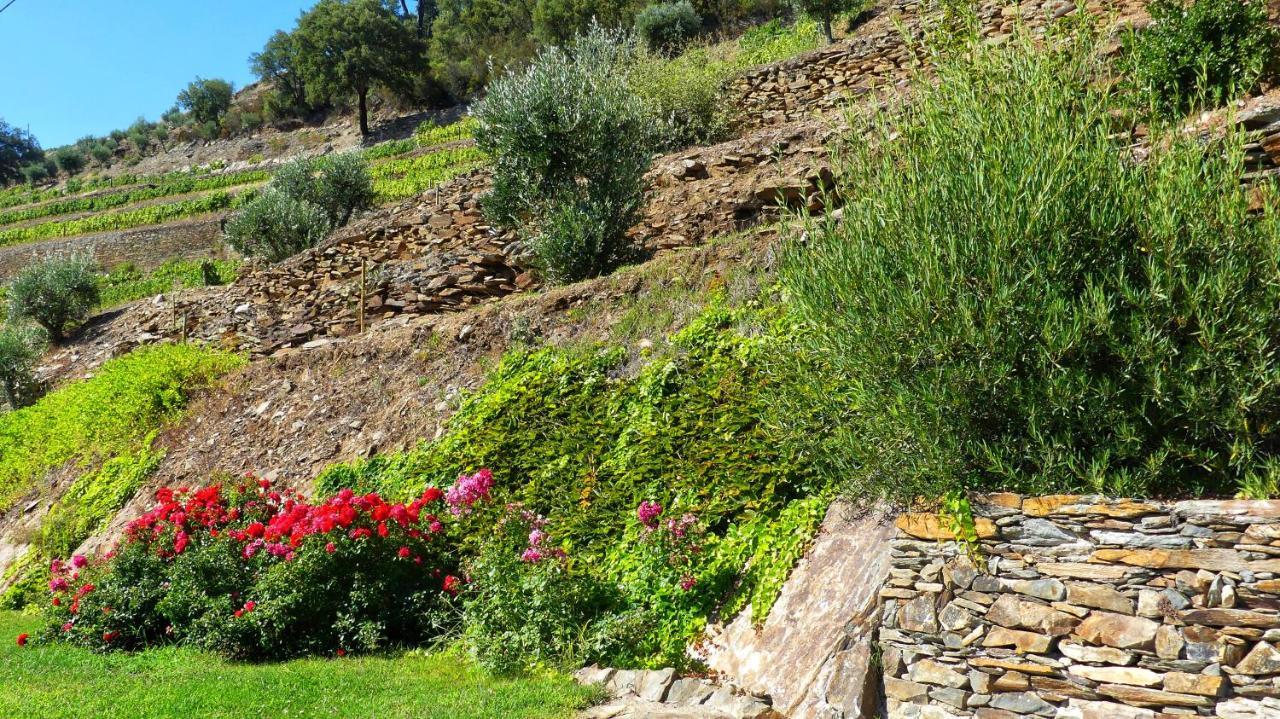 Country House Quinta Da Salgueira 알리조 외부 사진