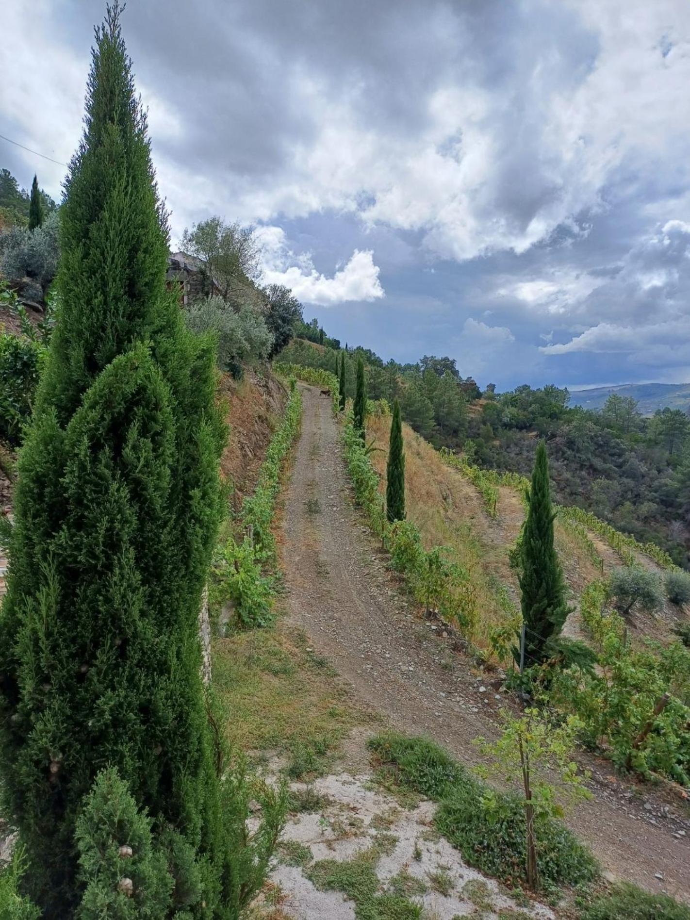Country House Quinta Da Salgueira 알리조 외부 사진