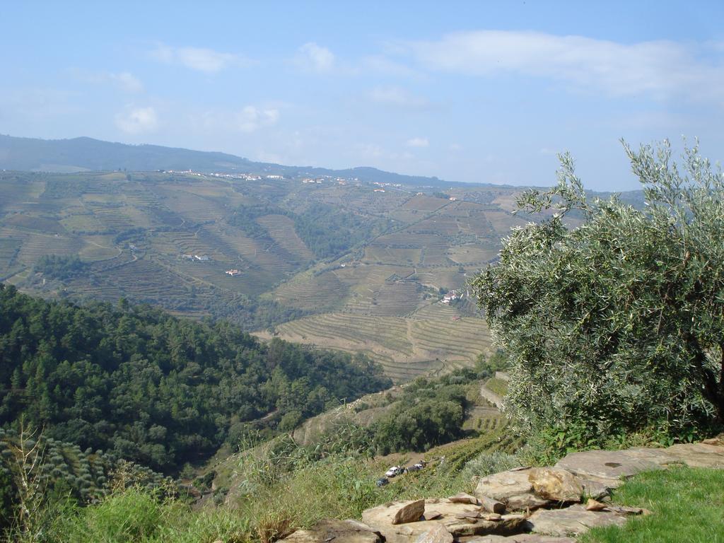 Country House Quinta Da Salgueira 알리조 외부 사진