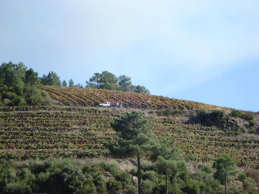 Country House Quinta Da Salgueira 알리조 외부 사진